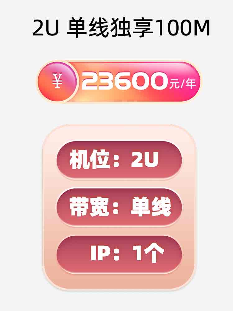 新疆单线100M服务器托管价格