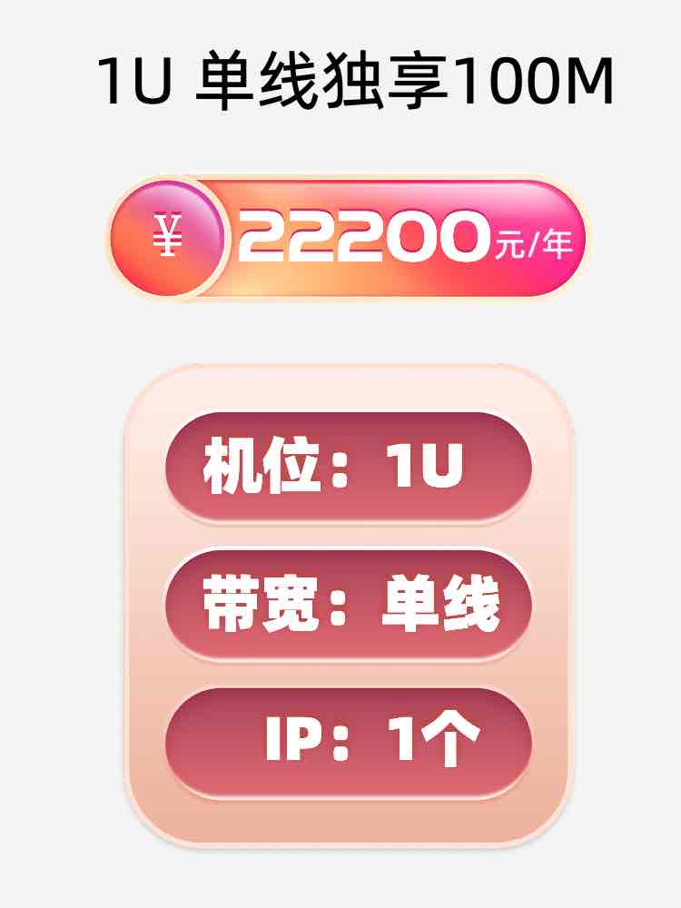 新疆单线100M服务器托管价格